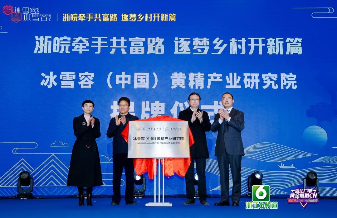 浙皖牵手共富路，逐梦乡村开新篇——冰雪容助力共同富裕项目成功举办！(图4)